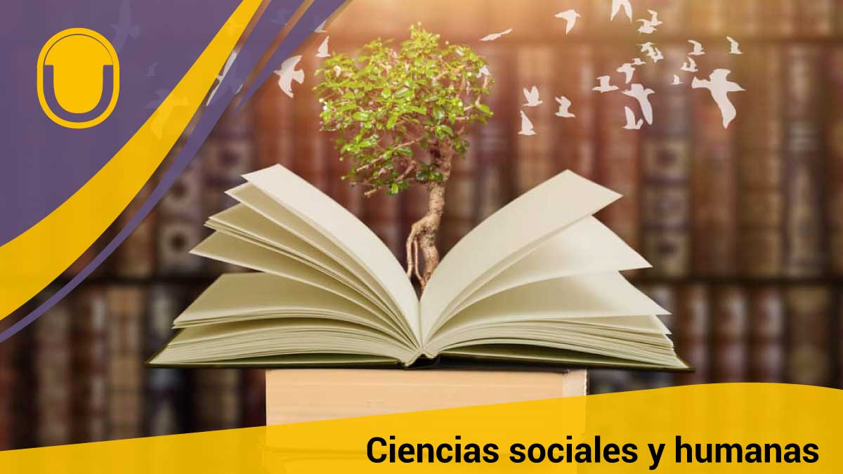 Ciencias sociales y humanas