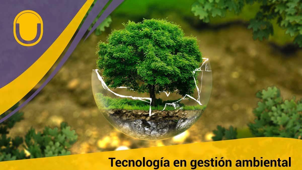Tecnología en gestión ambiental